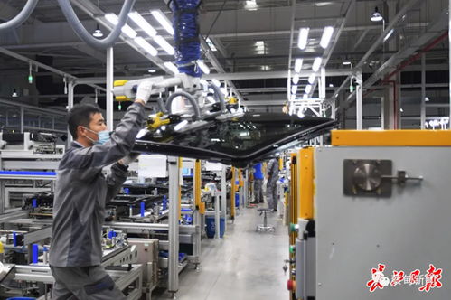 偉巴斯特武漢工廠提前三月投產(chǎn)，區(qū)域外資集聚效應(yīng)凸顯